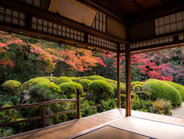 文化を基軸とした魅力あふれる京都ブランドの構築