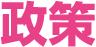 政策